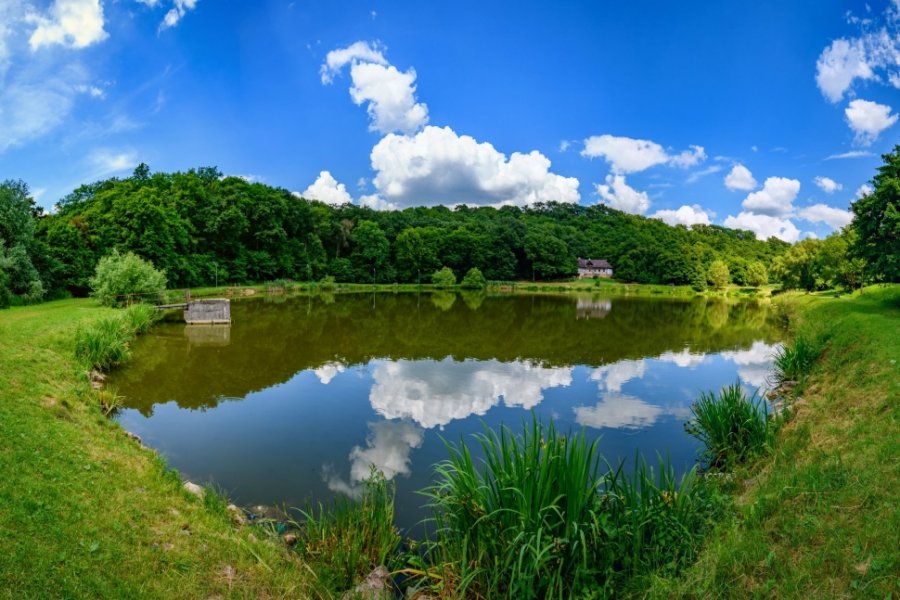 Malomvölgyi-tó Tardos mellett
