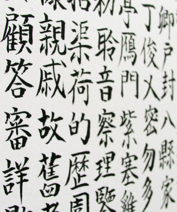 Kezdő normál kurzus jelentkezés